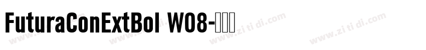 FuturaConExtBol W08字体转换